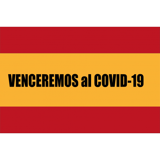 Bandera España Venceremos