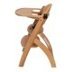 Evolutionary Highchair MS