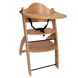 Evolutionary Highchair MS