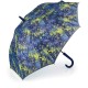 Umbrella Coach